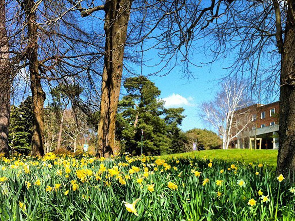 University Of Exeter - Holland Hall Dış mekan fotoğraf